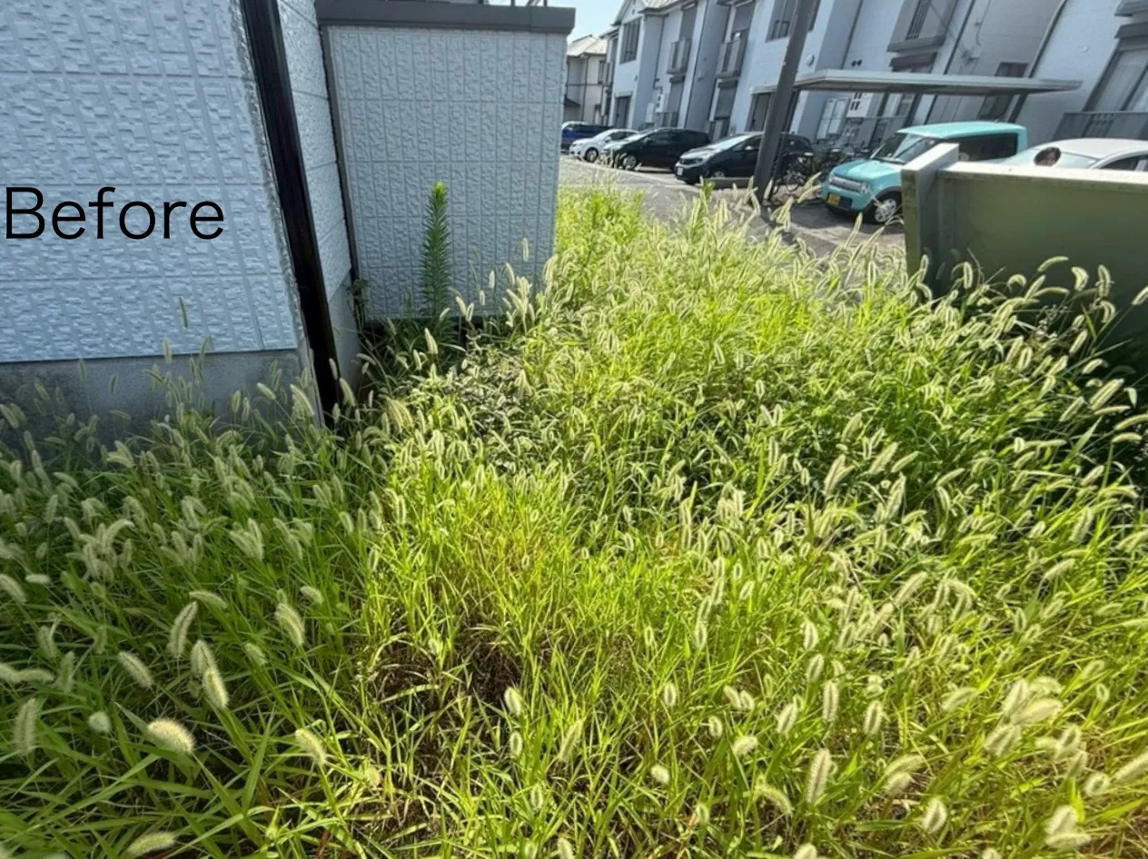 草刈り② before